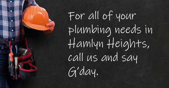 A plumber standing with text on the background relating to Hamlyn Heights plumbing services