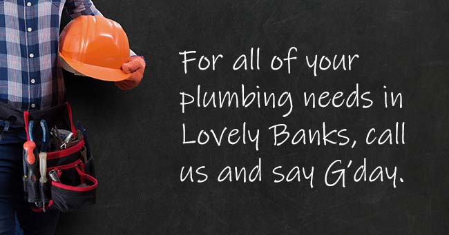 A plumber standing with text on the background relating to Lovely Banks plumbing services