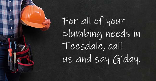 A plumber standing with text on the background relating to Teesdale plumbing services